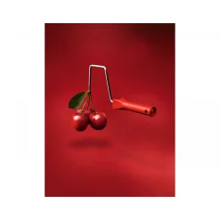 Schöner Wohnen Farbe Trendfarbe Amarena Matt 2,5 L