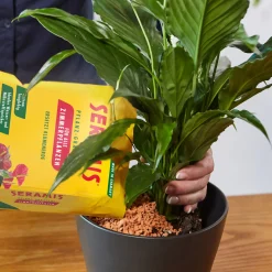 Seramis Pflanzgranulat für Zimmerpflanzen 7,5 L