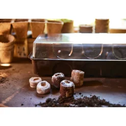 SIENA GARDEN Anzuchtgewächshaus inkl. 36 Tabs 53 x 15,1 x 4,9 cm