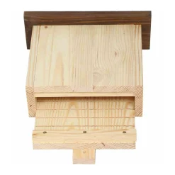 Siena Garden Fledermaushöhle Austin