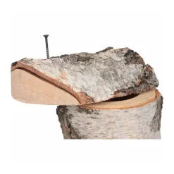 Siena Garden Nistkasten Birke 28 mm