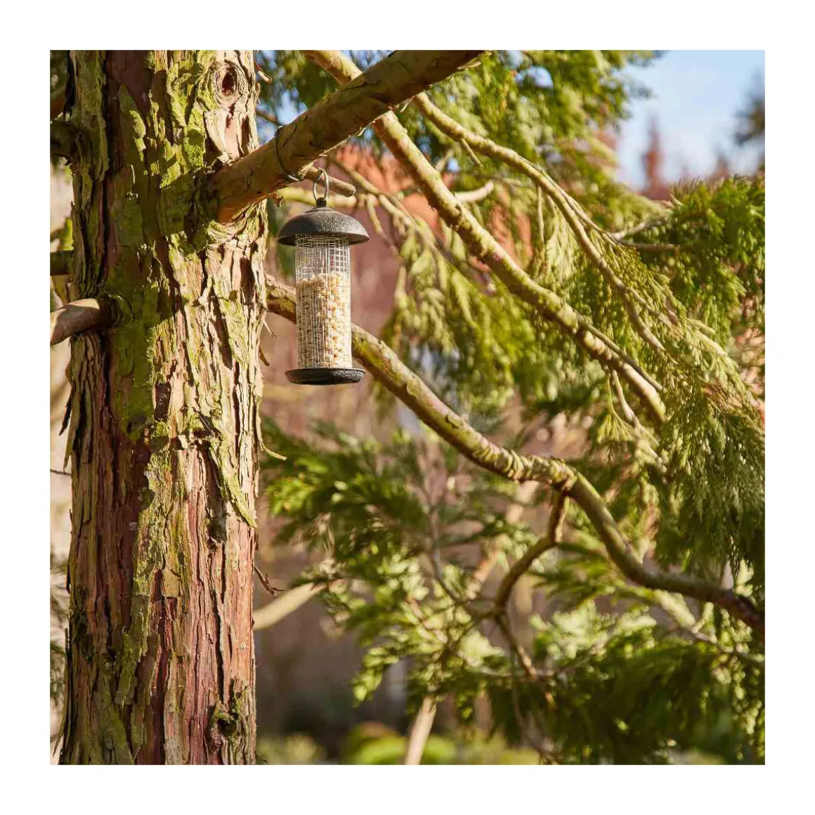 Siena Garden Vogelfuttersäule „Steel Line“ für Nüsse, 20 cm