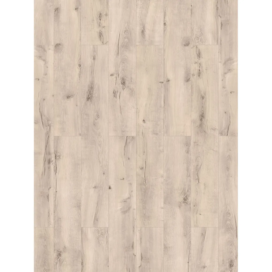 Specht Laminat Aqua Eiche creme 128,5x19,2x0,8 cm