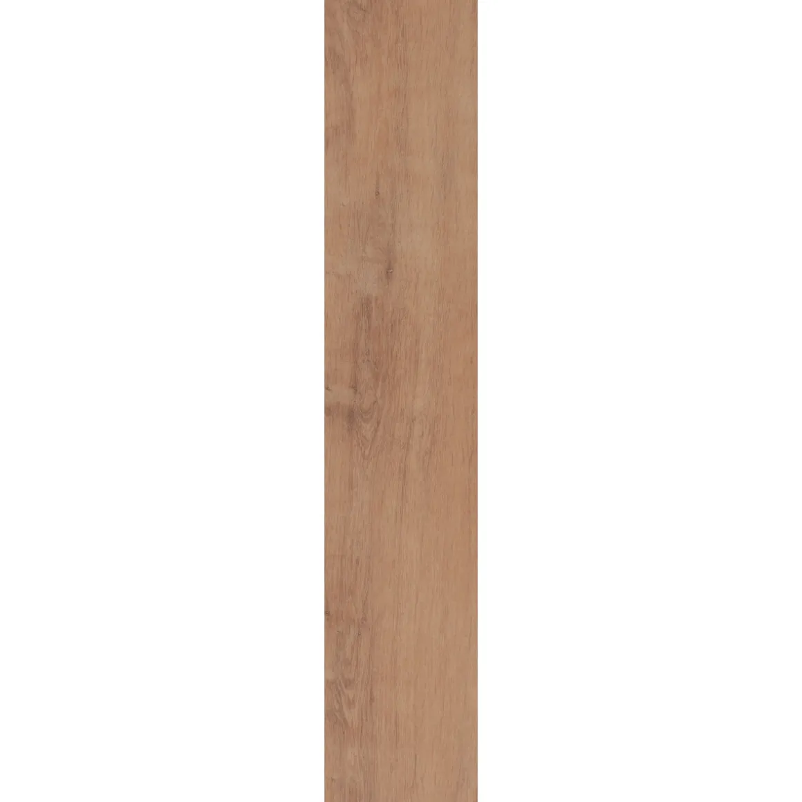 Specht Vinylboden Vinyl SPC Ambiente Honig Eiche 1220 x 230 x 4,8 mm