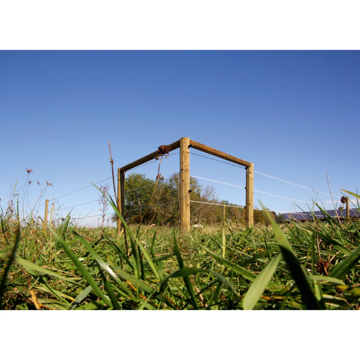 Stahldraht Premium Horse Wire 250 m