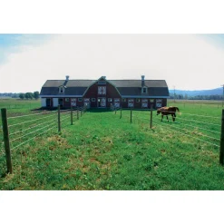 Stahldraht Premium Horse Wire 250 m