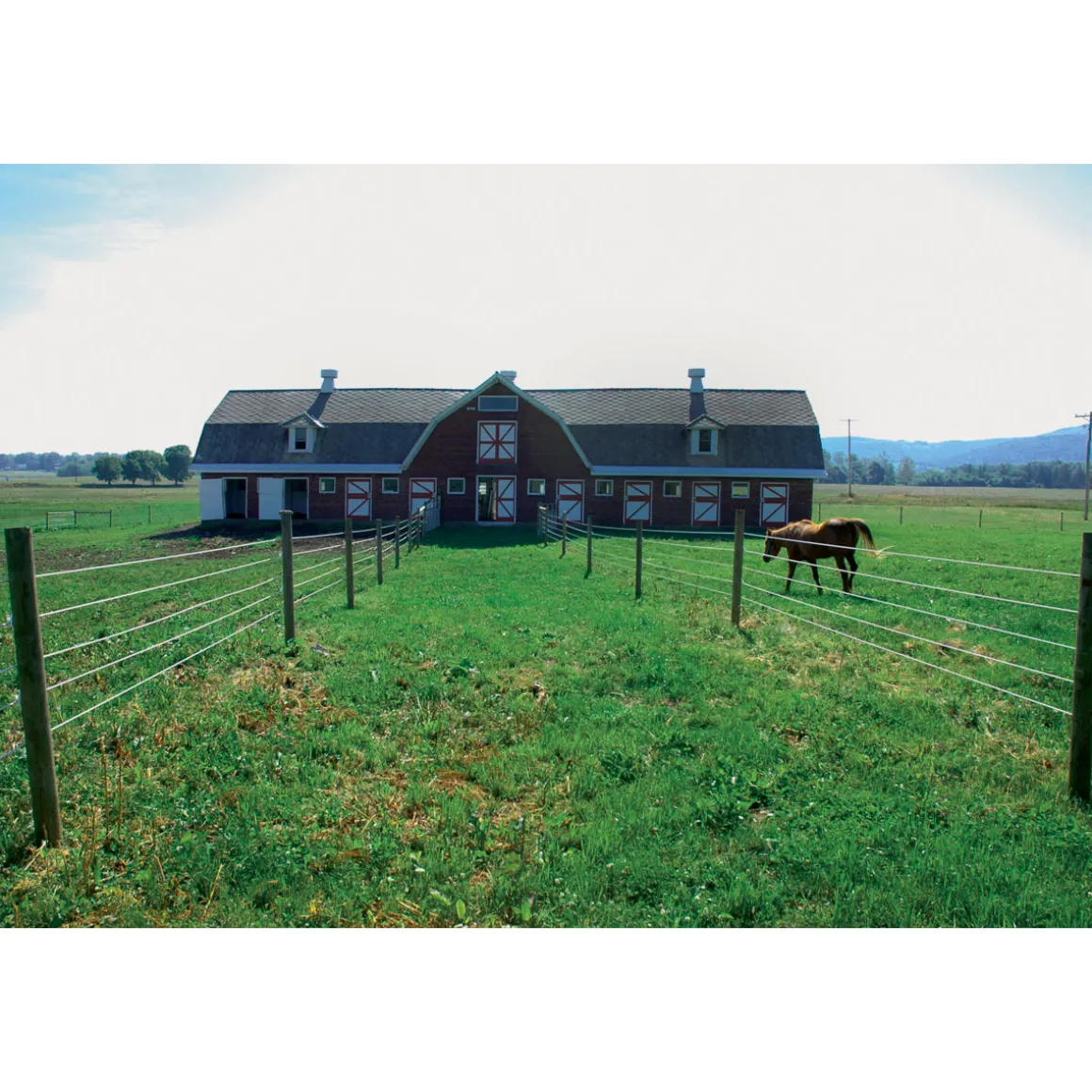 Stahldraht Premium Horse Wire 250 m