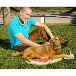Starlyf Kühlmatte Pet Cooling Mat für Hunde