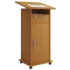 Stehpult Meeta mit Tür braun
