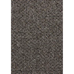 Teppichboden Leon 5m schlamm FB 8516