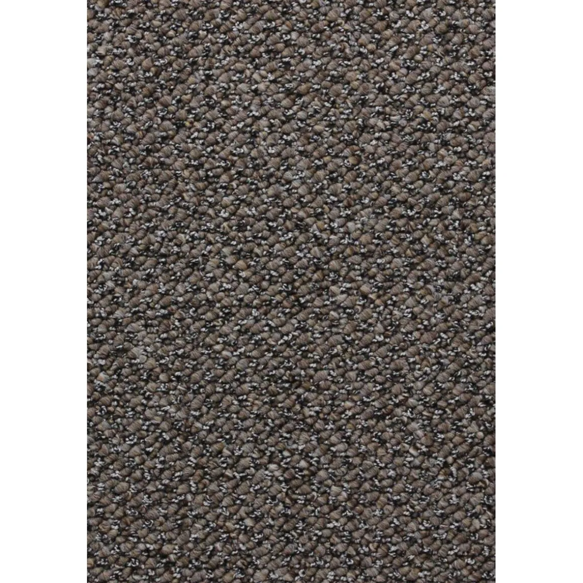 Teppichboden Leon 5m schlamm FB 8516