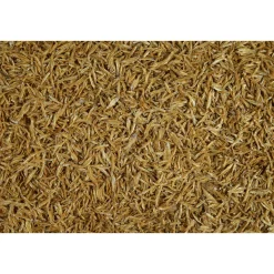 Tetra Schildkrötenfutter Anchovies 1 L