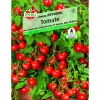 Tomate Donna Topftomate 20-40 cm