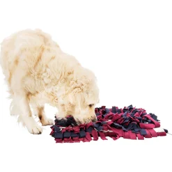 Trixie Dog Activity Schnüffelteppich 50 x 34 cm