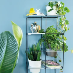 Vertikales Pflanzenregal Filo 2 x 4