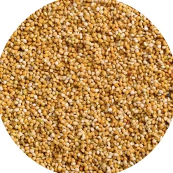 Vitakraft Honig-Perlen 20g Sittich Beutel