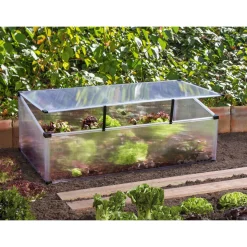 Vitavia Frühbeet Feronia transparent