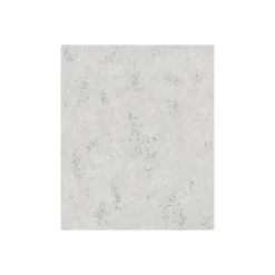 Vliestapete 10,05x0,53 m Creme silber