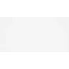 Wandfliese Bianca weiß rektifiziert 60 x 30 x 0,8 cm