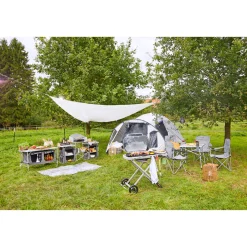 Weber Gasgrill Traveler