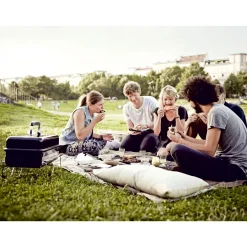 Weber Holzkohlegrill Go-Anywhere