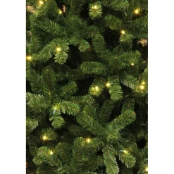 Weihnachtsbaum Charlton HxD155x91cm LEDgruen 100L Tips 340