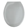 Wenko Premium WC-Sitz Ottana Hellgrau antibakteriell mit Absenkautomatik