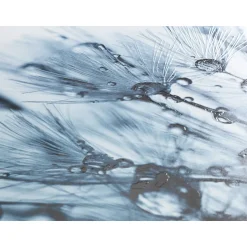 Wenko WC-Sitz Sereno mit Relief