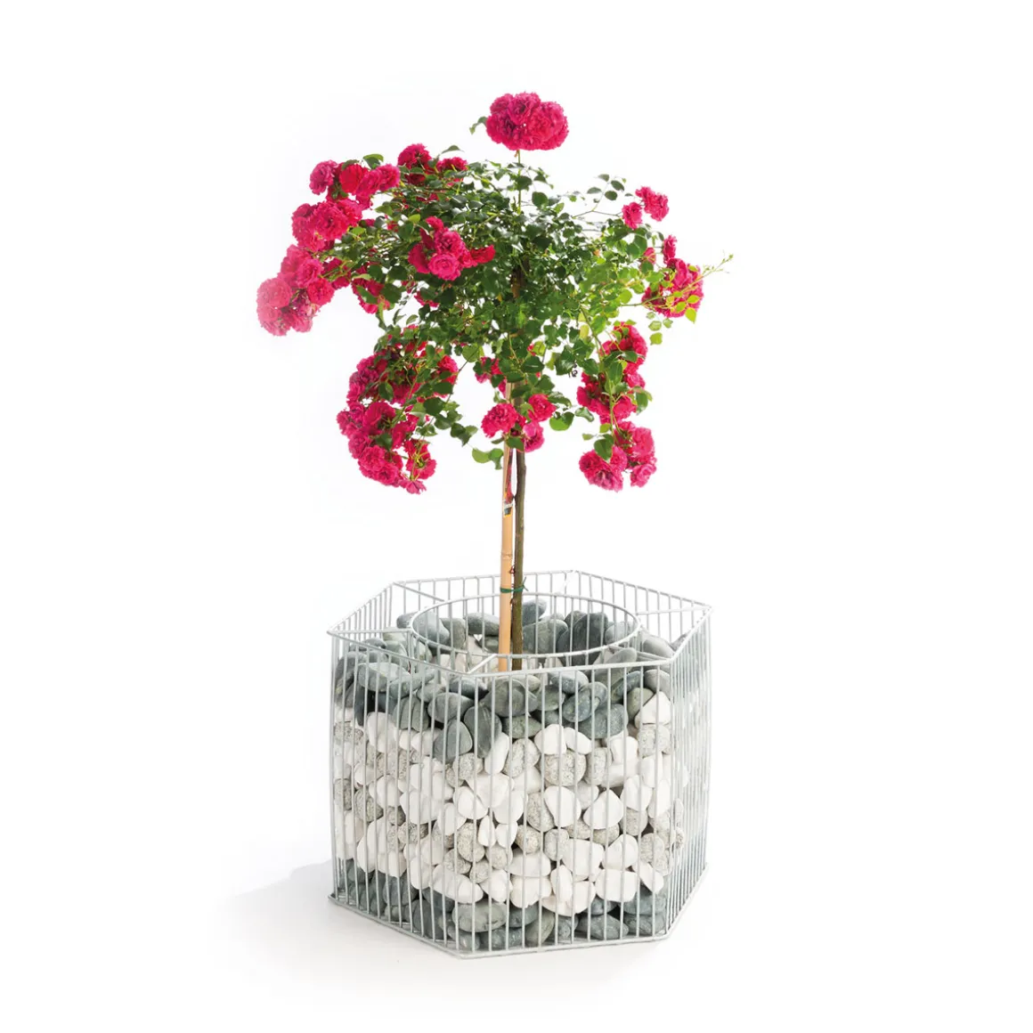 Wilk Gabionen-Pflanzgefäß Montana M