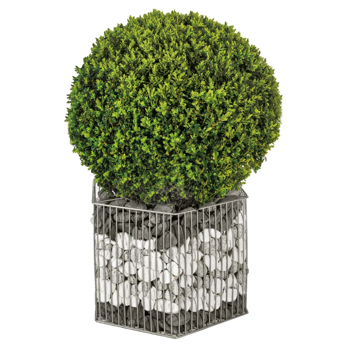 Wilk Gabionen-Pflanzgefäß Montana M