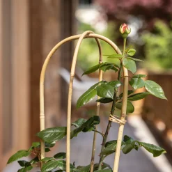 Windhager Bambus-Rankbogen 60 cm