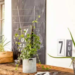 Windhager Blumenstütze 77x34 cm metall