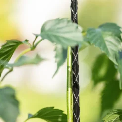 Windhager Fiberglas Pflanzstab 180 cm Durchmesser 8 mm