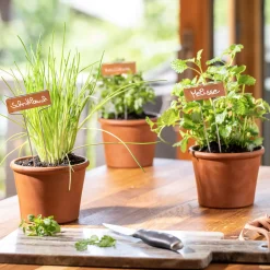 Windhager Pflanzenschilder Kupfer 10 Stück