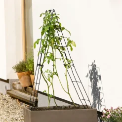 Windhager Rankgitter klappbar 30x100 cm