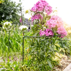 Windhager Staudenstütze 100x40 cm