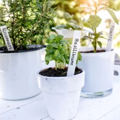 Windhager Stecketiketten 50 Stück