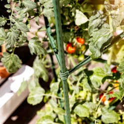 Windhager Tomaten-Rankturm 150x30 cm