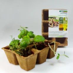 Windhager Torf-Anzuchttöpfe 6 cm