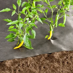 Windhager Unkrautvlies 10x1 m 50 g/m²