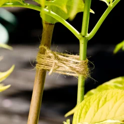 Windhager Flachs Gartenschnur 80m 1,5 mm