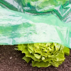 Windhager Frühbeet-Schlitzfolie mitwachsend 1,4 x 7,2m