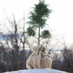 Windhager Jute-Sack natur Öko 80 x 60 cm