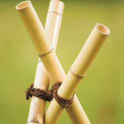 Windhager Kokosgarn, 15 m