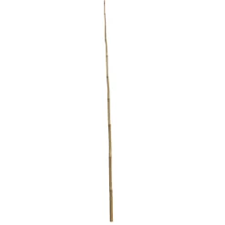Wingart Bambusstab 180 cm